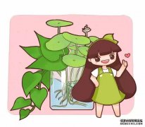 这5种花一喝啤酒就蹭蹭长!