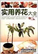 五大实用养花秘籍，从此告别养花杀手~