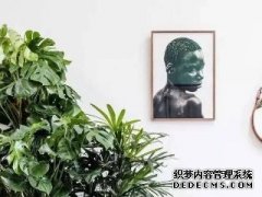 盆景里面的杂草要不要拔掉?